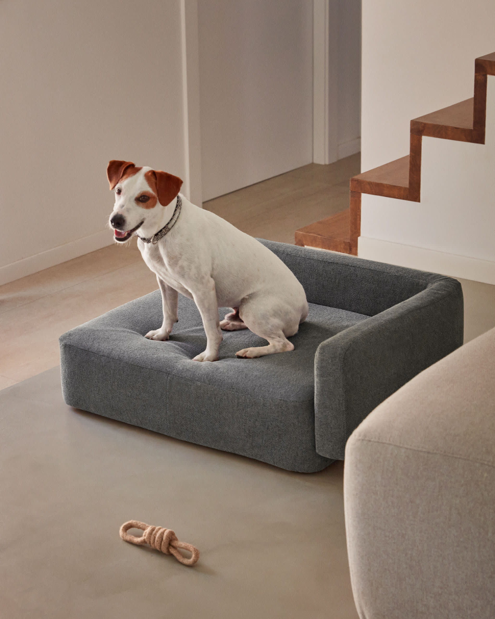 Eleganter dunkelgrauer Haustierbettbezug Bowie von Kave Home, 63x80 cm, ideal für kleine Haustiere, stilvoll und komfortabel.