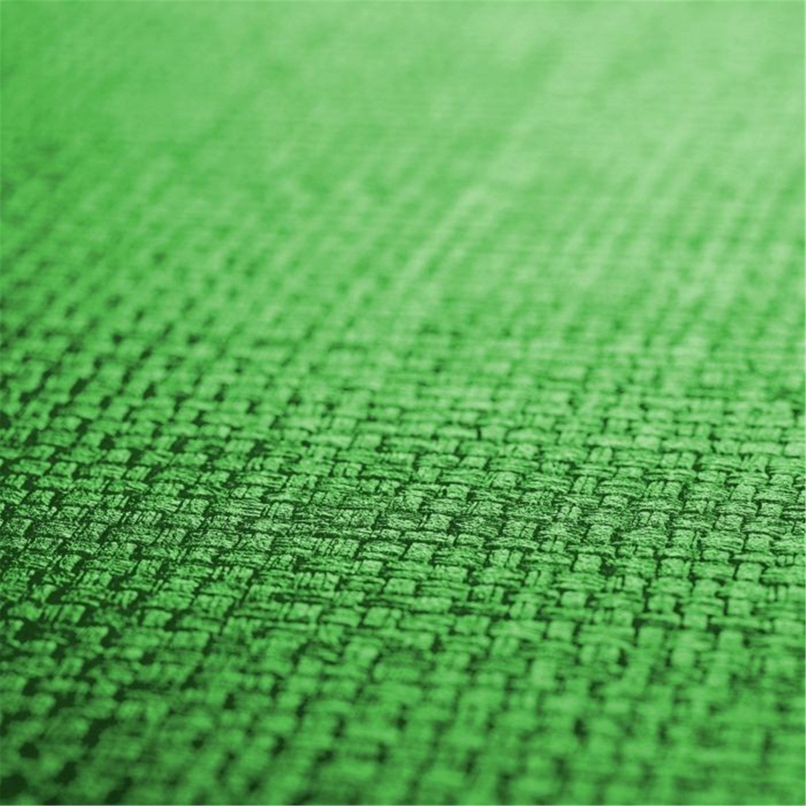 PP-Tischset Coolorista, eckig, apfelgrün, 45x32.5cm - KAQTU Design