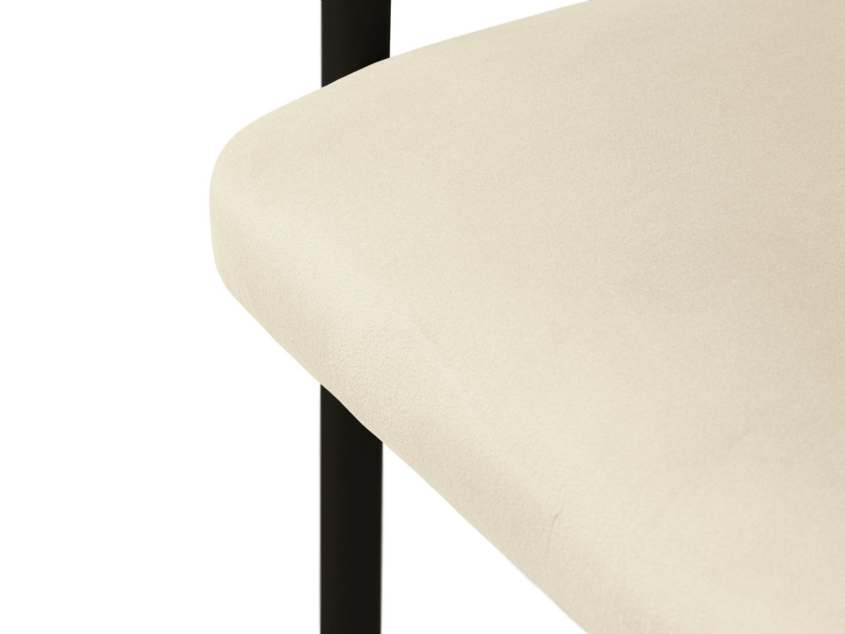 Zwei Lea Samt-Stühle von Cosmopolitan Design mit Buchenholzgestell, Stahlbeinen und Samtbezug in Ivory-Magic Velvet auf hellem Untergrund.