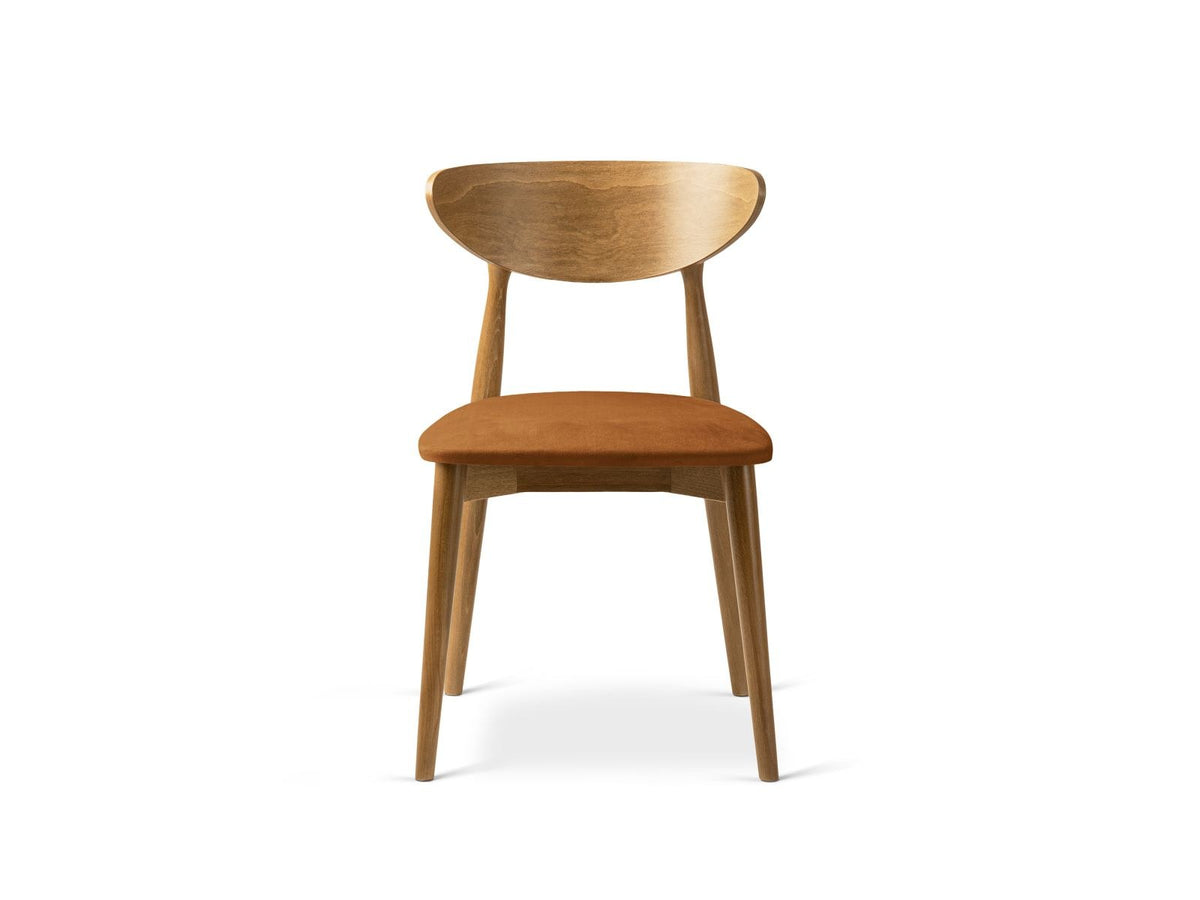 Zwei Leon Stühle mit Samtbezug in Almond Beige, Buchenholz-Beinen und gepolsterter Rückenlehne, Frontalansicht auf hellem Hintergrund.