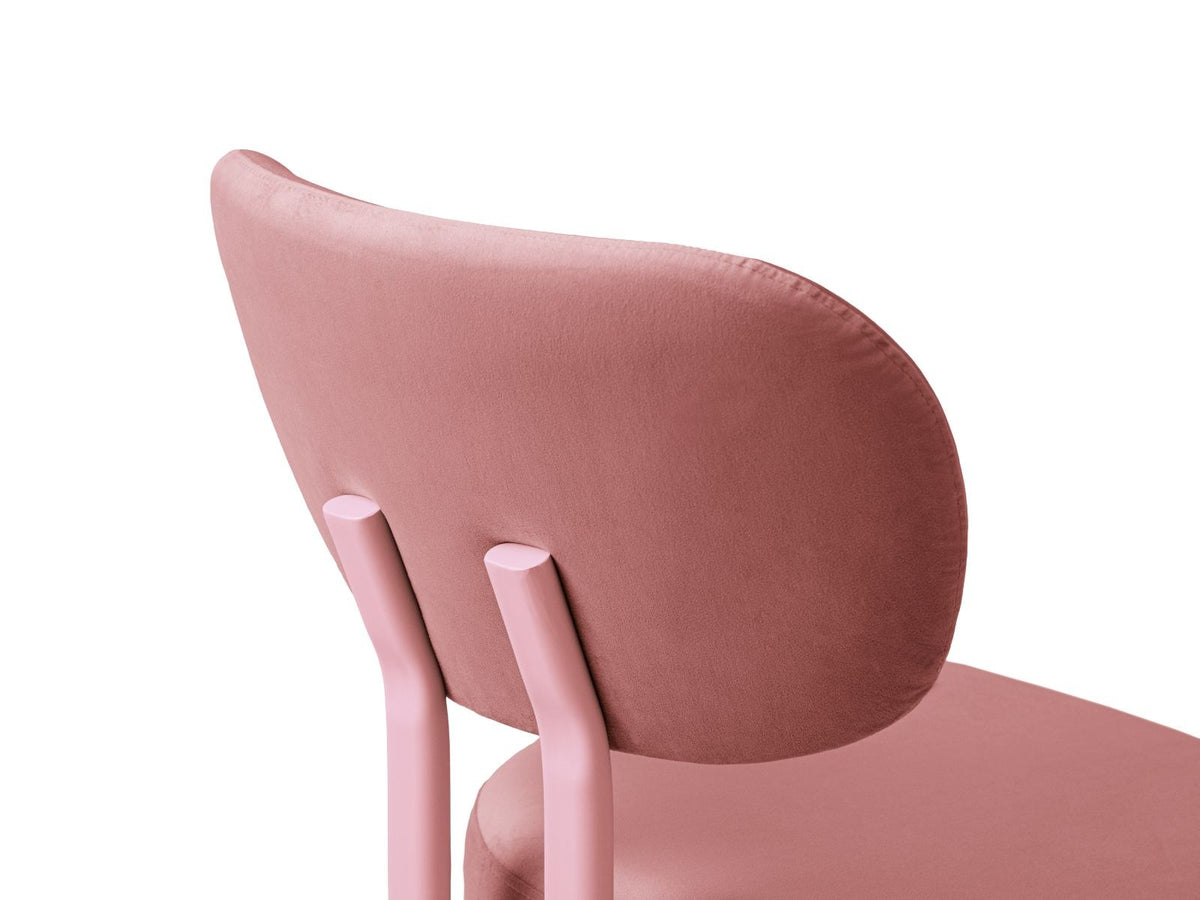 Zwei Sam Samtstühle von Cosmopolitan Design in Almond Beige mit Stahlbeinen, Buchenholzgestell und weicher, samtiger Bezugsoberfläche