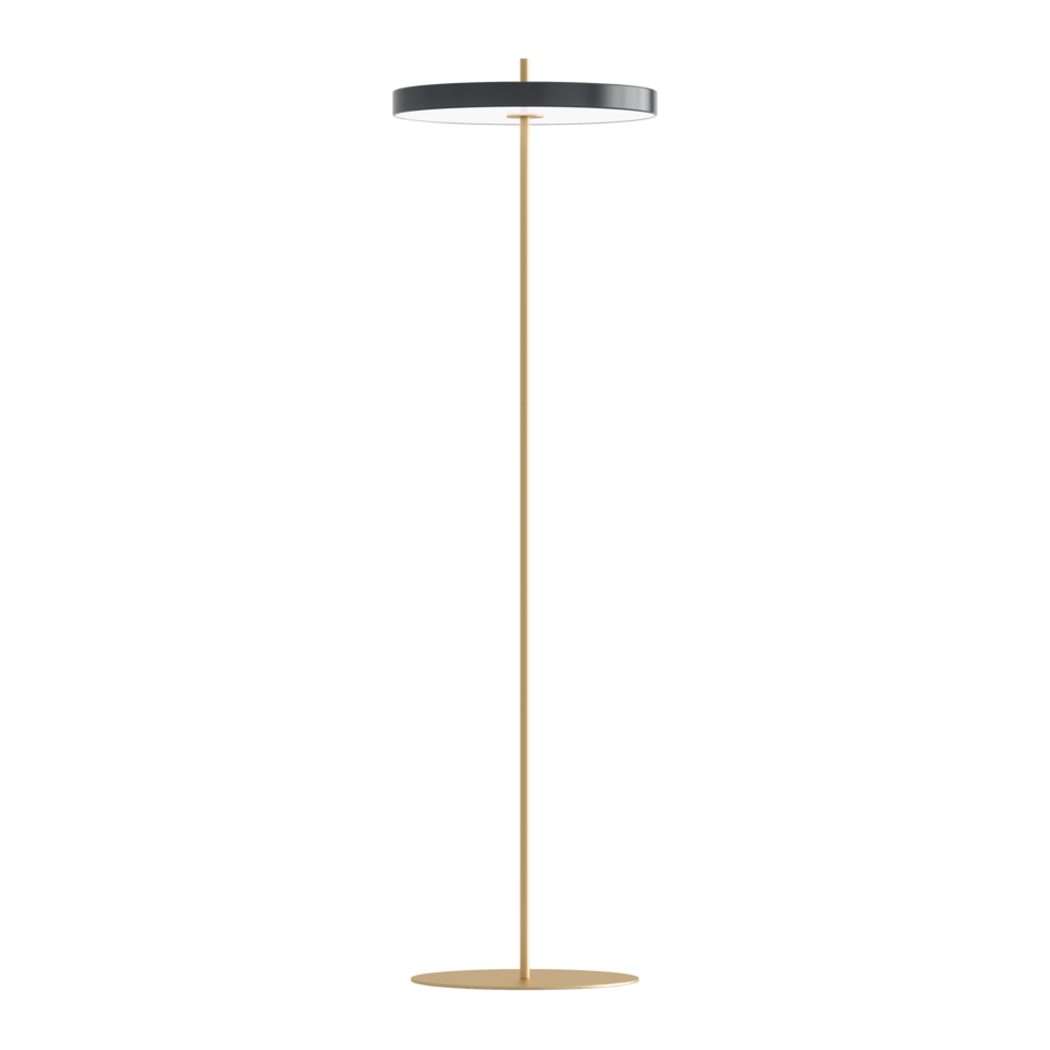 Elegante Asteria Stehleuchte in Anthrazitgrau, ideal für stimmungsvolle Beleuchtung und als stilvolles Wohnaccessoire in jedem Zuhause.