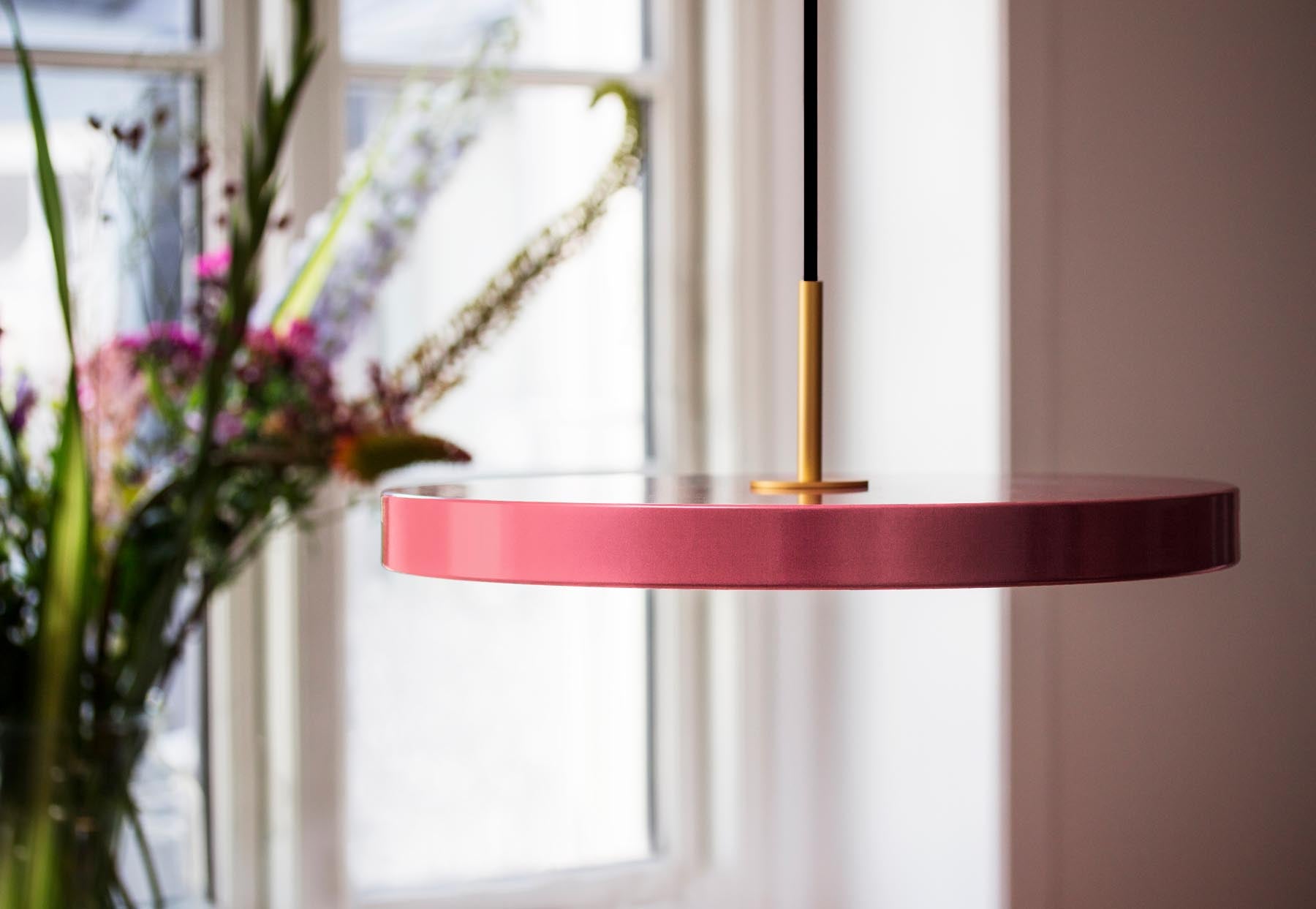 Elegante Asteria Medium Pendellampe in sanftem Rosé, ideal für stimmungsvolle Akzente und modernes Design in Wohnräumen.