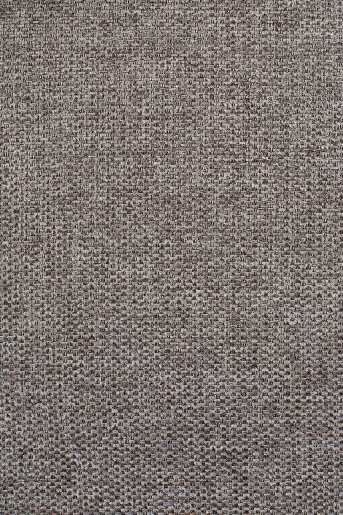 Stuhl LIONEL in Hellgrau präsentiert im Onlineshop von KAQTU Design AG. Stuhl ist von White Label Living