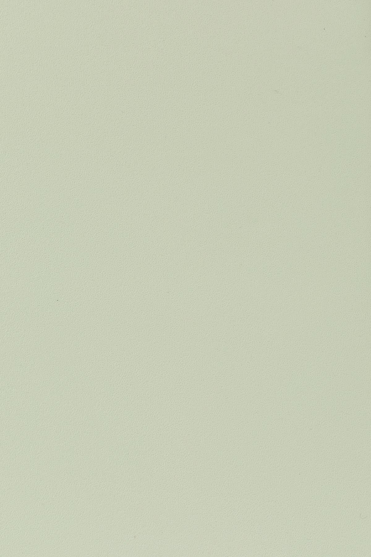 Stuhl Clive in Hellgrün präsentiert im Onlineshop von KAQTU Design AG. Stuhl ist von White Label Living