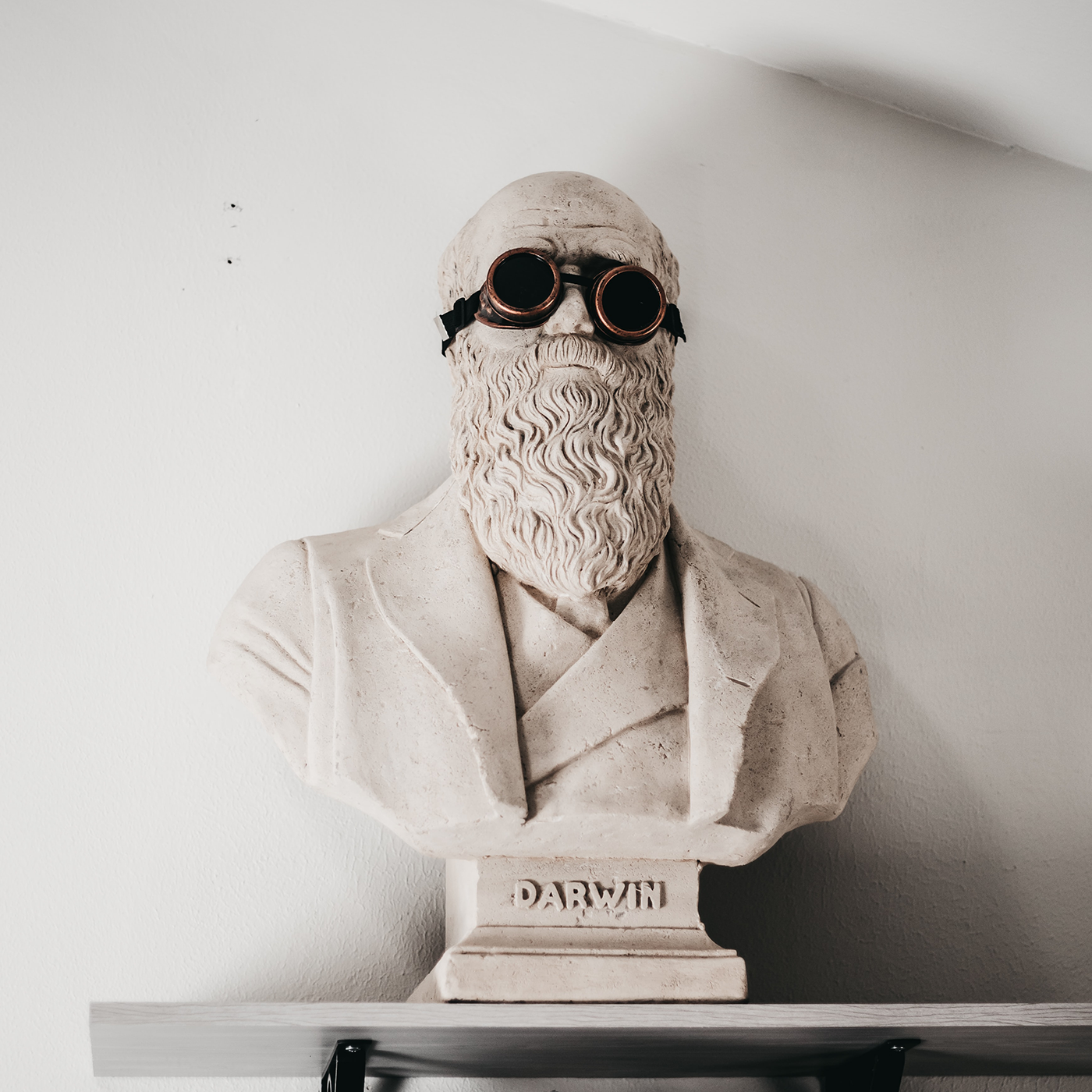 Darwin Statue mit Sonnenbrille