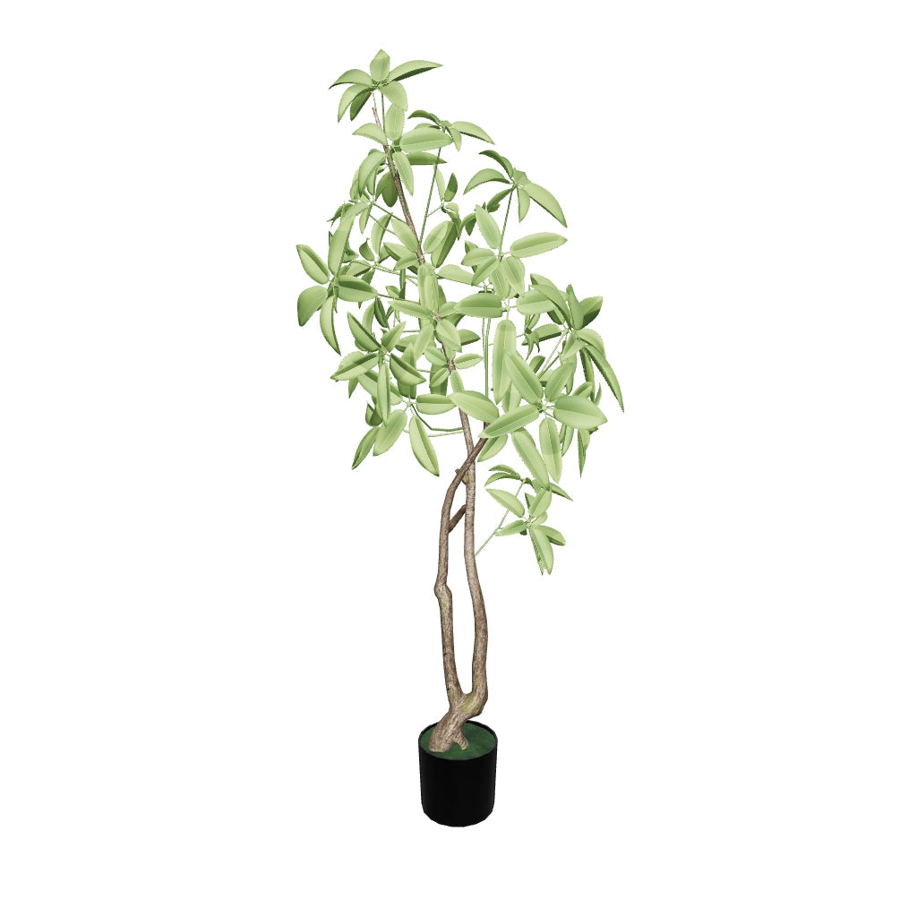 3D-Modell eines 180 cm hohen Kunstbaums Pachira im stabilen schwarzen Topf, ideal für Wohnräume und Büros.
