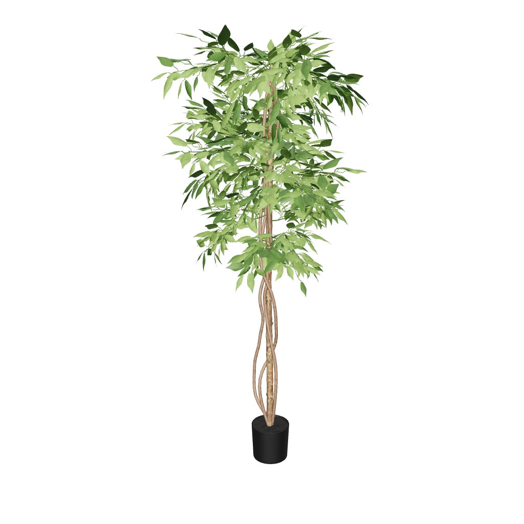 3D-Modell eines 180 cm hohen Kunstbaum Ficus im schwarzen Topf, eleganter Blickfang für jeden Raum, pflegeleicht.