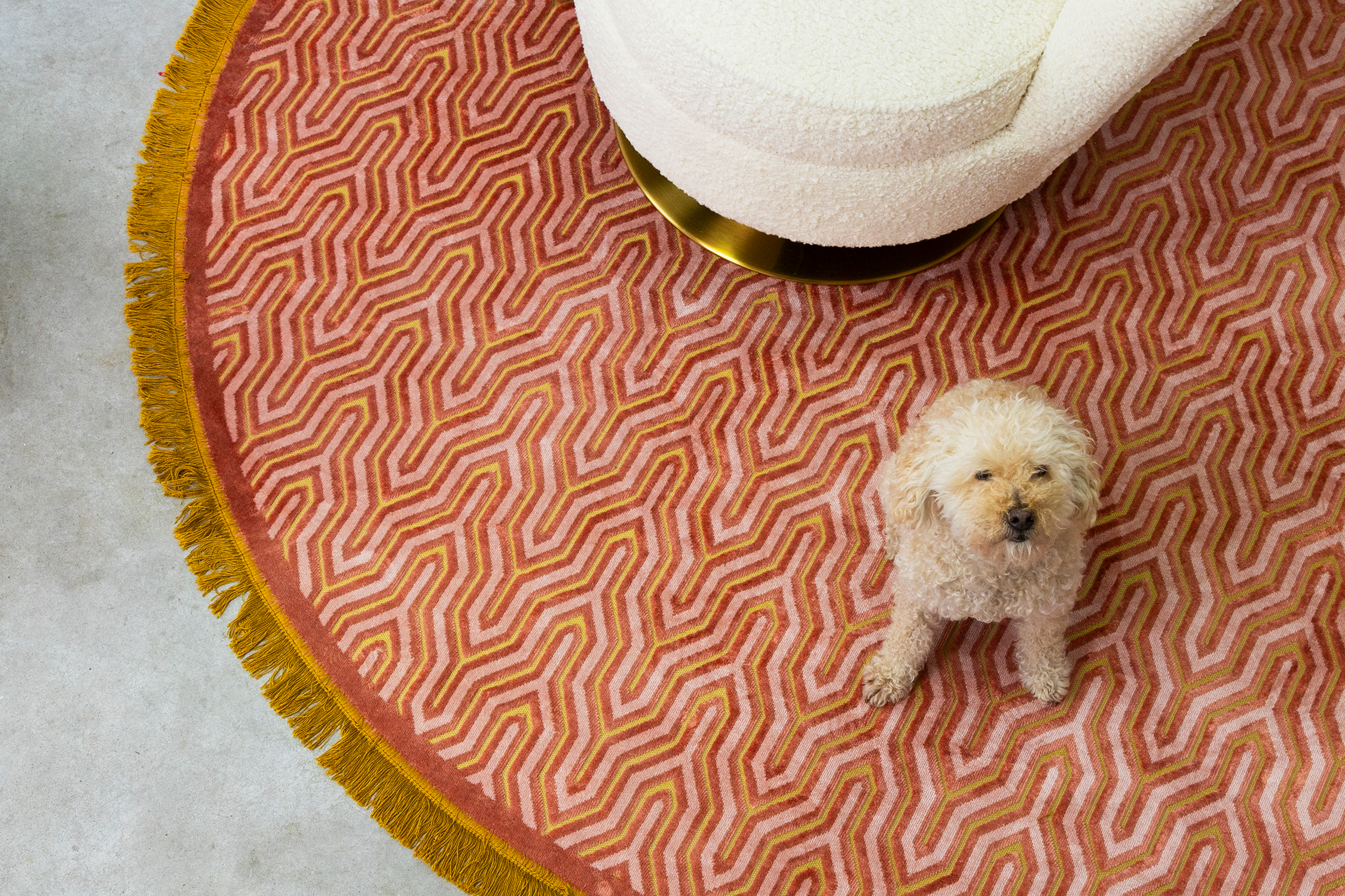 I FEEL SO SOFT Teppich rund in Pink präsentiert im Onlineshop von KAQTU Design AG. Teppich ist von Bold Monkey